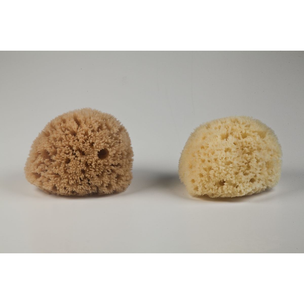 New Natural-Kalymnos-Greek-Sea-Sponge-Honeycomb & Soft Silk-Bath-Body EXCELLENT 