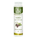 Shampoo Olive Leaves and Sage Minoan Life-Olive Beauty Medi Care 200ml
