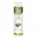 Σαμπουάν φύλλα ελιάς & φασκόμηλο Minoan Life- Olive Beauty Medi Care 200ml