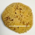 Premium Honeycomb Natural Sea Sponge from Kalymnos - Greece 5-5.5 inches ( 12.7-13.97cm)